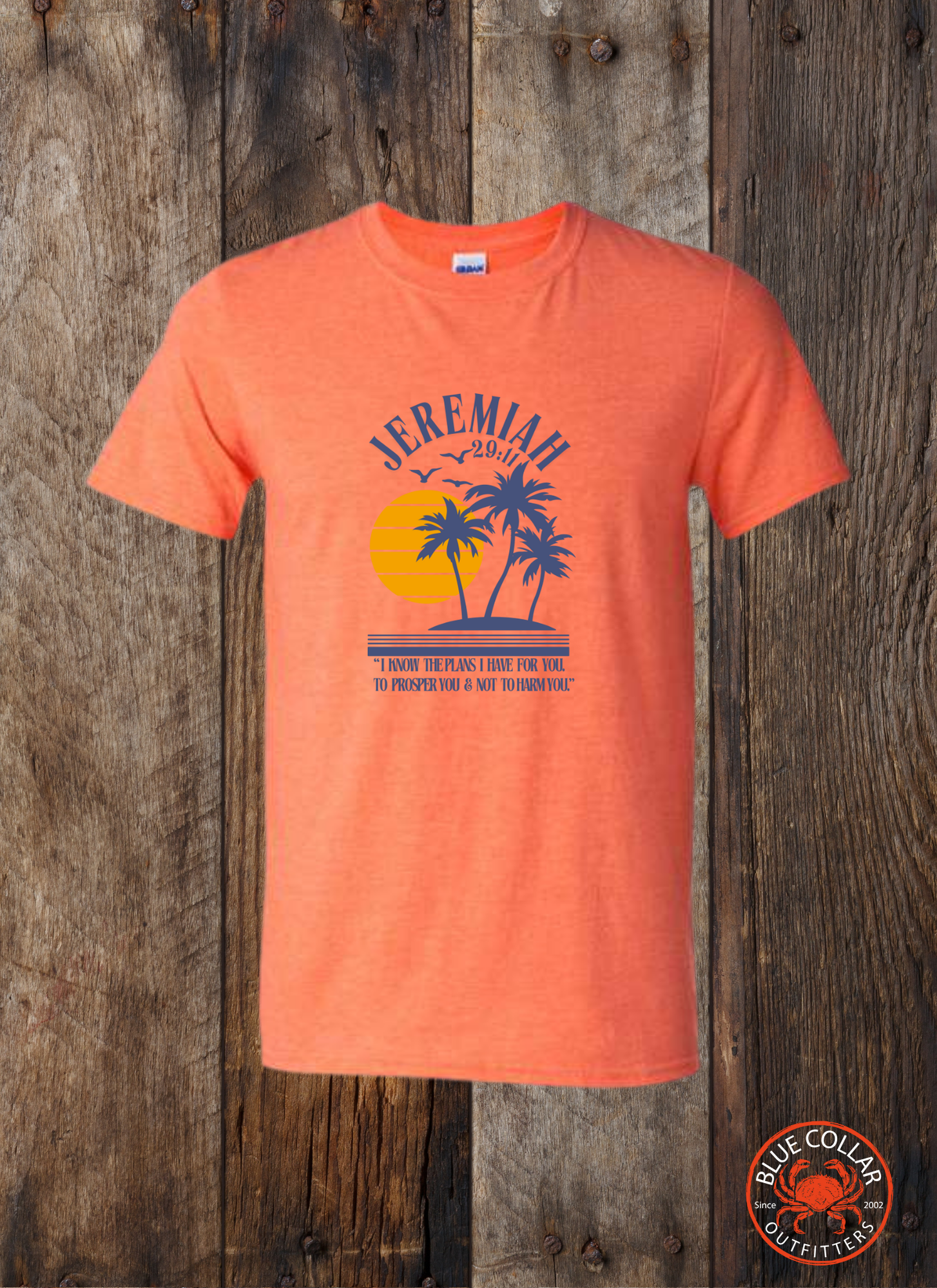 Sun & Palms (Jeremiah 29:11)